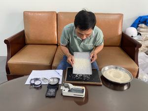 100% pur riz sushi à grain court/riz japonique | approvisionnement en vrac | direct du Vietnam fabricant | HACCP, certifié ISO | OEM - Product Image 6