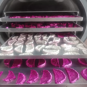 ชิ้นผลไม้มังกรแดงอบแห้งแบบออร์แกนิกจากเวียดนามสำหรับขนมขบเคี้ยวบรรจุภัณฑ์จำนวนมากโฆษณากระบวนการอบแห้งจากเวียดนาม - Product Image 4