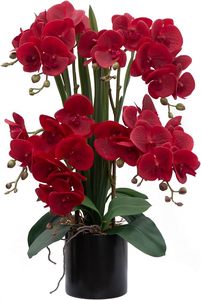 Orquídeas de seda con precio al por mayor, bonsái, flores artificiales de orquídeas, arreglos para decoración del hogar, regalo, venta al por mayor, 2017 - Product Image 2