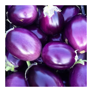 มะเขือม่วง100% ผักสดจากธรรมชาติ - Product Image 6
