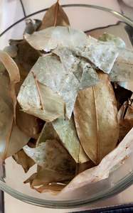 Feuilles de corossol abordables - Product Image 3