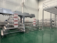 Nouveau système de cages automatiques à 3 ou 4 niveaux pour poules pondeuses – Équipement avicole en batterie pour une production d'œufs optimisée et un gain de place