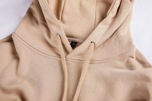 Personnalisé 450 GSM Heavyweight Hoodies Sweatshirts pour Hommes Surdimensionné Impression Personnalisée Coton Hoodies Puff Imprimer Hoodie Unisexe - Product Image 5