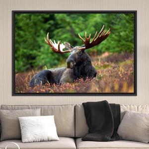Rustic Moose Canvas Wall Art: Lodge Decor Printed Canvas,BLACK <b>FRAMED</b> CANVAS - Product Image 1