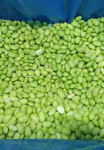 Meilleure vente de soja vert glacé-haute qualité et meilleur prix du Vietnam - Product Image 5