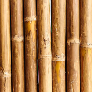 Grands poteaux en bambou OEM |   Pour la construction et l'architecture |   Traité |   Taille personnalisée - Product Image 5