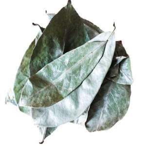 Hoja de Guanábana seca al mejor precio, comida saludable, 100% Hojas de Guanábana secas al sol orgánicas naturales de VIET NAM - Product Image 1