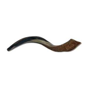 Shofar Kosher Hecho a Mano, Cuerno de Kudú Polaco Genuino, Artesanía Natural Rústica y Moderna para Yom Kippur, Judío, Cristiano - Product Image 5
