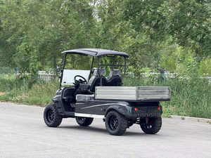 Voiturette de golf haut de gamme tout-terrain à quatre roues, 2 places, 72V, à vendre - Product Image 2