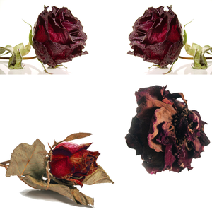 ดอกกุหลาบสีแดงแห้ง | กลีบดอกไม้สำหรับเครื่องสำอางธรรมชาติและรายการสปา - Product Image 1