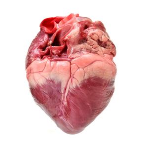 Carne de Corazón, Riñón y Hígado de Cerdo Congelada de Alta Calidad a Bajo Precio - Product Image 6