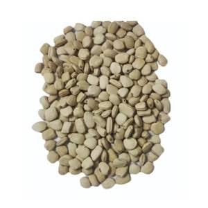 Double langues de qualité supérieure Tamarindus Indica Seeds Herbal Exportateur du fabricant indien Durée de conservation de 12 mois - Product Image 3