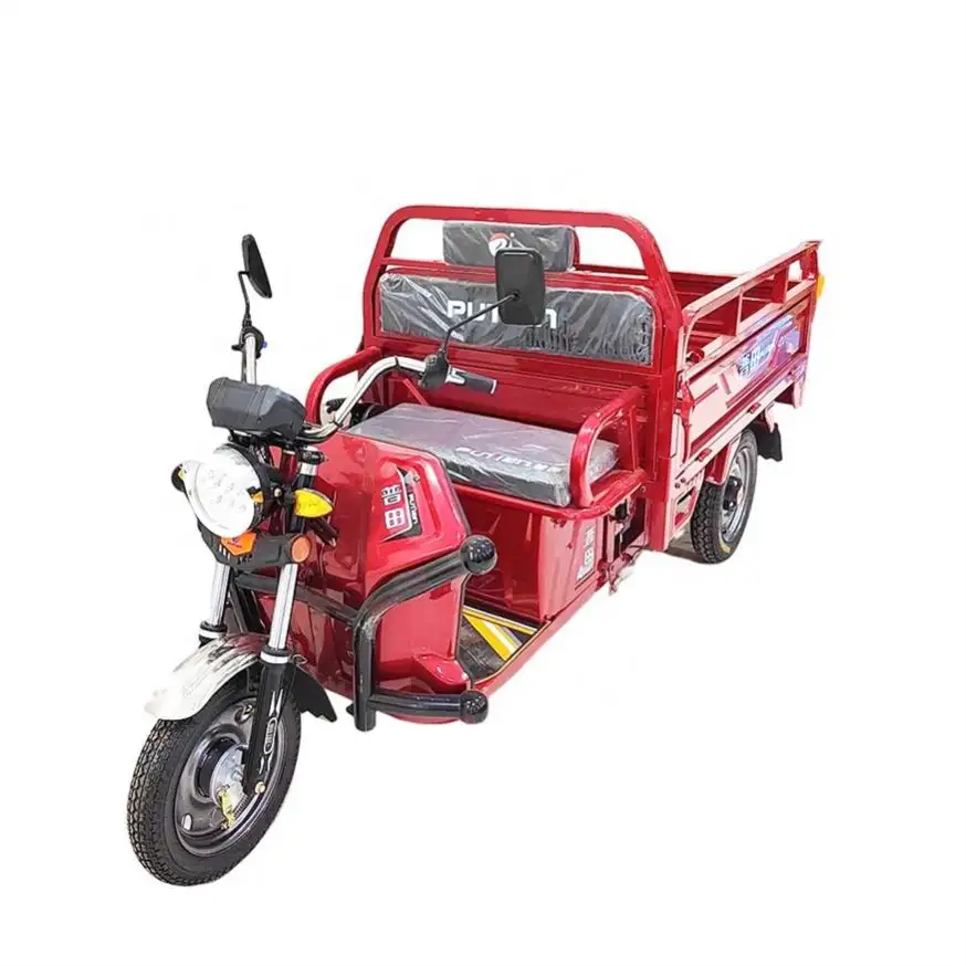 New Product Come E Bike Cargo Three Wheel With 2 Seat Roof And Canopy Electric Motorcycle