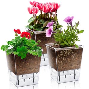 <span class=keywords><strong>Macetas</strong></span> <span class=keywords><strong>de</strong></span> Acrílico Transparente <span class=keywords><strong>de</strong></span> <span class=keywords><strong>Diseño</strong></span> Clásico con Orificios <span class=keywords><strong>para</strong></span> Plantar, Maceta Transparente <span class=keywords><strong>para</strong></span> <span class=keywords><strong>Plantas</strong></span> - Product Image 5