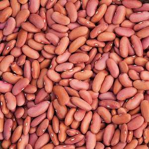 Frijoles rojos oscuros secos de Grado Superior 100% a la venta - Product Image 1