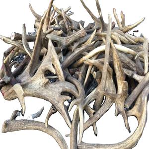 Extracto de Astas de Ciervo Rojo Enteras en Cápsulas, Suplemento Natural Orgánico de Primera Calidad, Astas de Ciervo Solubles en Agua - Product Image 1
