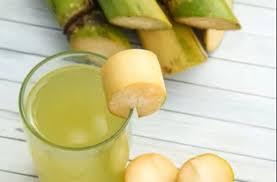 CAÑA DE AZÚCAR CONGELADA DULCE DE VIETNAM | EMBALAJE OEM | PRECIO DIRECTO DE FABRICA | VDELTA - Product Image 2