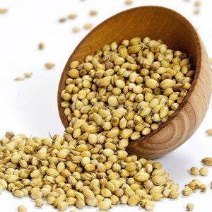 Thiết Bị Phân Loại Màu Hạt Cumin Bán Sỉ Nhà Máy Máy Máy Ngô Máy Phân Loại Rau Mùi - Product Image 6