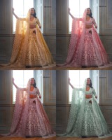 Nouveau filet papillon lourd avec belle broderie fantaisie Doris séquence travail Lehenga Choli vêtements indiens et pakistanais pour la mariée