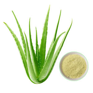 Polvo de extracto de hoja de Aloe Vera salvaje orgánico suplemento herbal OEM ODM Etiqueta Privada opciones de embalaje personalizado - Product Image 2