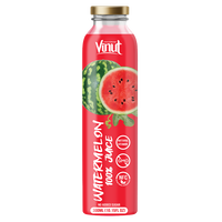 Jus de pastèque 300 ml (10,1 fl oz) – Carton de 24 bouteilles en verre – 100 % ferme vietnamienne – OEM – Marque privée