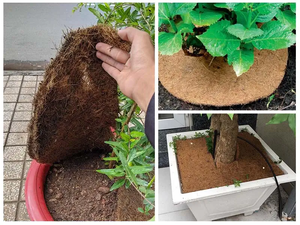 Tapis de paillis en fibre de coco du Vietnam - Product Image 6