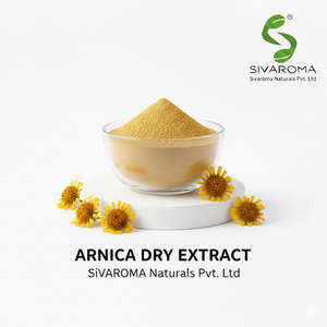 Poudre d'extrait d'arnica pour la fabrication à grande échelle de produits cosmétiques et de soins de la peau - Product Image 4
