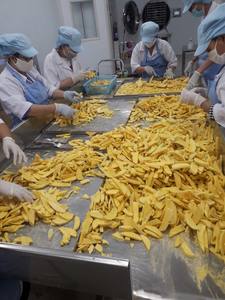 มะม่วงอบแห้งเนื้อนุ่ม รสหวาน รูปทรงวงรี น้ำหนัก 100 กิโลกรัม ความชื้นสูงสุด 15% อายุการเก็บรักษา 24 เดือน มาตรฐานส่งออก 2026 / ANNA DO - Product Image 2