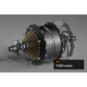 Bicicleta Eléctrica de Largo Alcance HAOQI Eagle Mejorada (Certificada) Negro Medianoche/Blanco Perla - Product Image 6