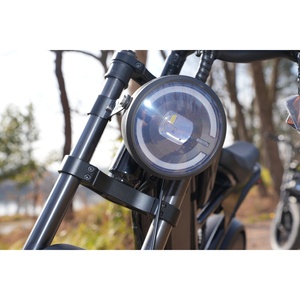 Vélo électrique chinois de haute qualité avec pneus larges, Ecoride Factory Dirte, vélo électrique 15ah à double moteur, vélo électrique V10 pour adultes - Product Image 4