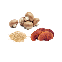 Poudre de champignons biologiques premium, complément alimentaire naturel à base de plantes pour l'immunité, l'énergie, la détoxification et le soutien général du bien-être
