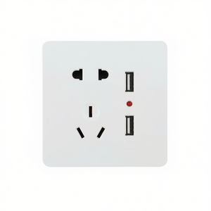 ปลั๊กไฟอัจฉริยะพร้อมพอร์ต USB 2 พอร์ต ปลั๊กติดผนังมาตรฐานสากล - Product Image 2