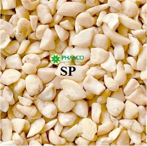 Hot Selling Vietnam White Cashew <b>Nuts</b> Premium Grade Clean Dry Natural Cashew <b>Kernel</b> for Snack and Food Processing - Product Image 2