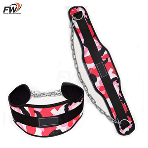 Cinturón de Neopreno Suave Personalizable de Calidad Premium con Cadena de Acero Inoxidable, Cinturones de Soporte Lumbar Resistentes para Ejercicios de Dip - Product Image 1