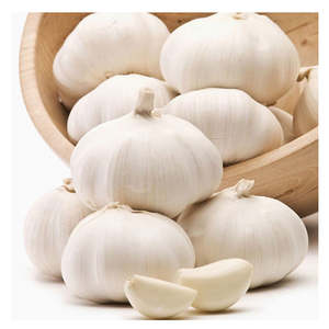 Ajo blanco normal fresco y ajo blanco puro de alta calidad y precio competitivo - Product Image 6