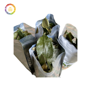 Feuilles de graviola séchées fraîches et de haute qualité disponibles pour les commandes en gros, bon prix pour les acheteurs en gros - Product Image 1