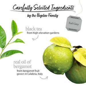 ชาบิเกโลว์ ชาดำรสเอิร์ลเกรย์ โคเชอร์ 20 ซอง 1.18 ออนซ์ (แพ็ค 6 ซอง) - Product Image 2