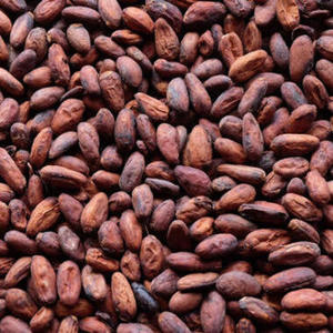 Granos de Cacao Forastero Orgánico Certificado, Grado AA, Tamaño 2.3cm, Cacao Tostado, 50kg, Origen CM, 99% Maduros para Procesamiento, en Venta - Product Image 1
