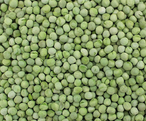 Pois verts biologiques lyophilisés légers croquants et nutritifs pour les collations et la préparation des repas Type de culture commun Emballage en vrac - Product Image 1