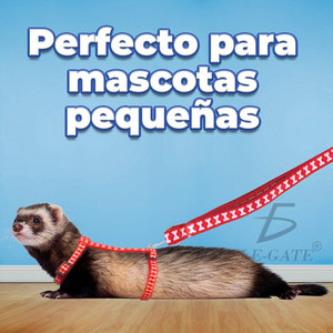 Imbracatura in Morbida Rete di Poliestere con Guinzaglio, Stile Gilet Personalizzato per Animali Domestici di Piccola Taglia, per Passeggiare con il Cane - Disponibile nelle Taglie M, L, XL - Product Image 2