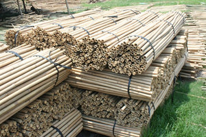 Valla de bambú TamVong de 10 pies de alto, fabricante y exportador de fábrica para uso en parques - Product Image 6