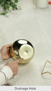 กระถางต้นไม้ทรงกลมสีทองทันสมัยสำหรับการตกแต่งบ้านอย่างเก๋ไก๋ในร่มต้นไม้เขียวขจีการออกแบบที่ทันสมัยและการจัดแสดงที่น้อยที่สุดจากอินเดีย - Product Image 3