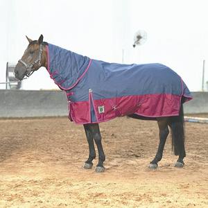 Alfombra de caballo de medio cuello personalizada ecuestre a precio asequible 1200D Ripstop 300g manta aislada de asistencia de invierno fabricante OEM a granel - Product Image 5