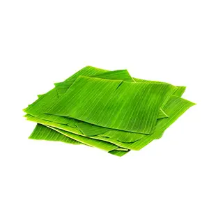 Hot Selling Banana Leaf Freshly Sourced To Ensure Good Quality Banana Leaf For Cook, Wrap Or Serve Food 99 Gold Data