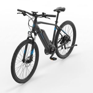 Vélo électrique à prix réduit, moteur à couple élevé, longue autonomie de la batterie, conduite fluide et confortable, parfait pour les trajets quotidiens - Product Image 2