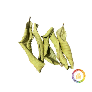 Feuilles de goyave séchées en vrac pour mélanges de thé personnalisés, boissons saines et remèdes naturels à base de plantes - Product Image 2