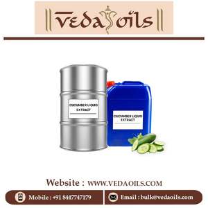 Extrait liquide de concombre 100% pur à prix de gros |   Obtenez de l'extrait liquide de concombre de haute qualité à prix de gros - Product Image 3