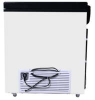 Congélateur électrique AC 220V50Hz, compresseur d'épaisseur moussante à porte unique, ventilateur de refroidissement à lumière LED