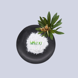 Bubuk ekstrak daun Loquat organik alami, 25% 50% 90% 95% 98% bubuk asam ursolik - Product Image 1