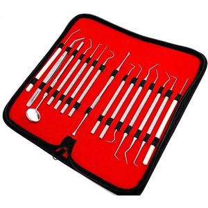 Professional <b>Dental</b> Scaler Picks Set Deep <b>Cleaning</b> Oral Hygiene <b>Tools</b> Kit <b>Dental</b> Tartar Remover <b>Dental</b> Surgical Instruments Set - Product Image 5